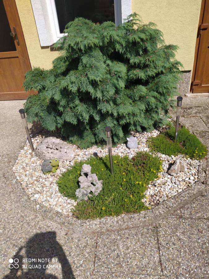 Ubytovanie Athena Poprad Zewnętrze zdjęcie